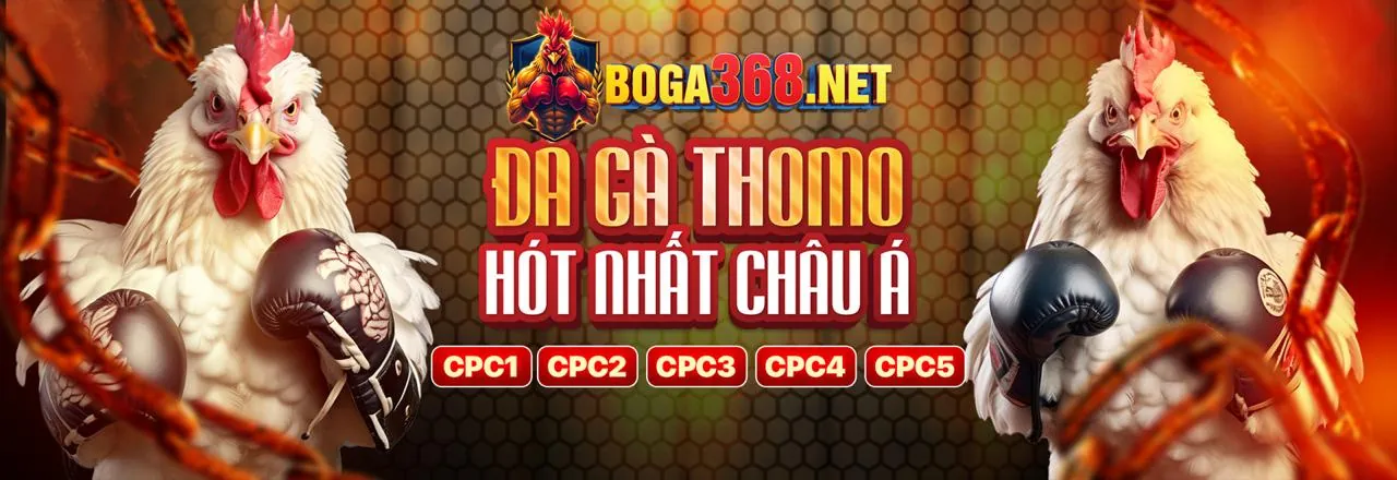 Thưởng chào mừng đá gà