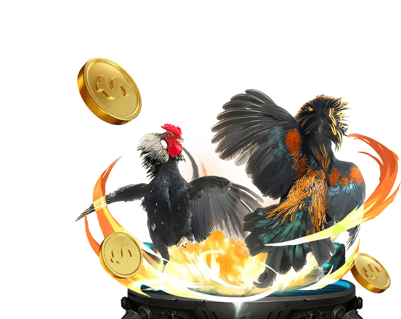 Danh mục Khuyến Mãi